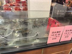 -阿胖龙虾(罍街店)