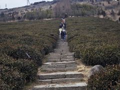 -东白山