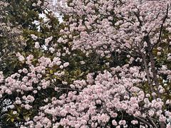 -糕大师•手作鲜糕点(滨湖万达店)