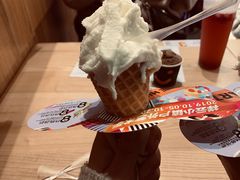 -野人先生现做冰淇淋(北京顺义祥云小镇店)
