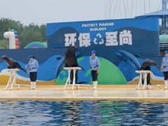 -秦皇岛乐岛海洋王国