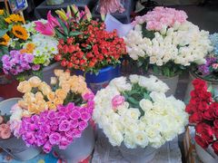 -循礼门鲜花花市(武汉循礼门店)