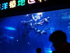 -蓬莱欧乐堡海洋极地世界