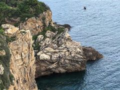 -杨梅坑