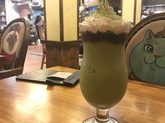 宇治抹茶sasa-more than meow吴止猫主题餐厅(承德 中船汇店)