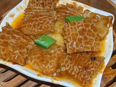 -点都德·毕德寮