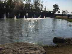 -滆湖低碳生态公园