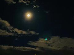 -尼甘布海滩
