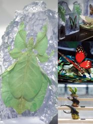 -酷嗒动物文化乐园(cutezoo西溪乐天城店)