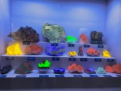 -湖南省地质博物馆