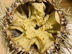 -海胆小馆(东北水饺·春柳店)