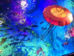 -沈阳海洋探索中心