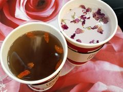 -1828王老吉·草本新茶(珠江新城地铁站店)