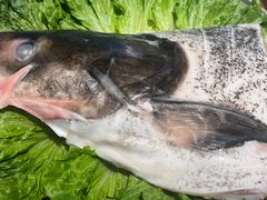 -同和·小葱伴豆腐(凤凰北路店)