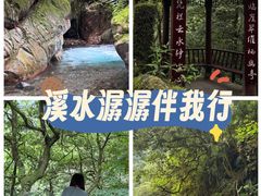 -西岭雪山大飞水景区