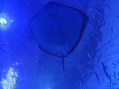 -多彩贵州城极地海洋世界