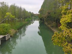 -上海长兴岛郊野公园