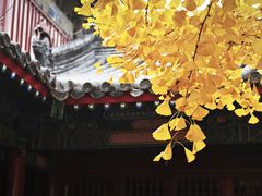 -承恩寺
