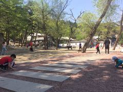 -阳台山自然风景区