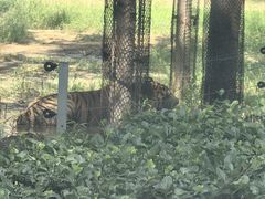 -秦皇岛野生动物园