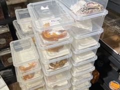 -酷以爬仙阁实体爬宠店·守宫·蜥蜴·专业繁育