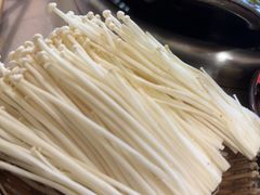 -陈麻婆豆腐(旗舰店)