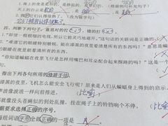 招牌鸡-新南华大酒店(长寿店)