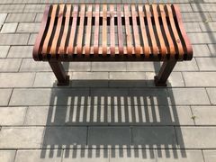 -三里屯东五街银杏大道