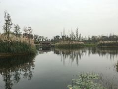 -白鹭湾湿地公园