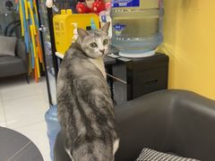 -谜盒子奇幻密室(南屏店)