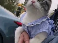 -美联众合24小时·皮肤科·外科·全科诊疗中心(华苑分院)
