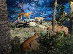 -国家自然博物馆