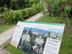 -中国科学院西双版纳热带植物园