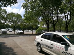 -安飞驰驾校·学车连锁(金高店)