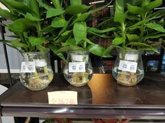 -农工商超市(临汾路店)