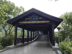 -长广溪湿地公园