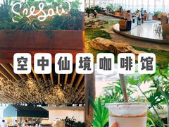 -Seesaw Coffee(朝阳大悦城店)