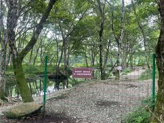 -西溪南古村落