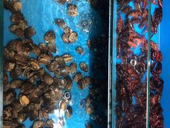 -加尔森烤肉海鲜·火锅烧烤自助