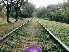 -永定河休闲森林公园