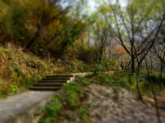 -太平万花山景区