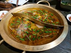 -土著渔匠·养生蝴蝶鱼(香樟路店)
