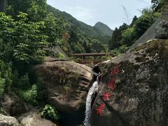 -牛背梁国家森林公园