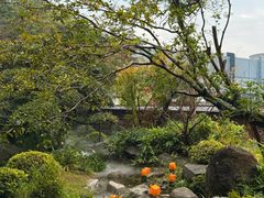 -炉忆家宴(京东店)