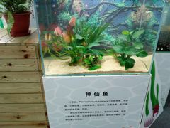 -中国杭州低碳科技馆