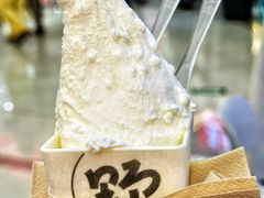 -野人先生Gelato(上海长宁龙之梦店)
