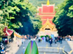 -西双版纳勐泐文化旅游区