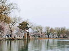 -颐和园