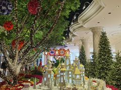 -拉斯维加斯永利酒店