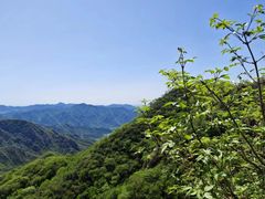-大岭沟猕猴桃谷风景区